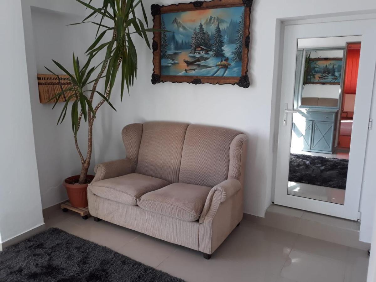Casa Sannicolau Acomodação com café da manhã Sînnicolau Mare Exterior foto